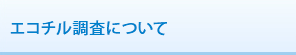 エコチル調査について